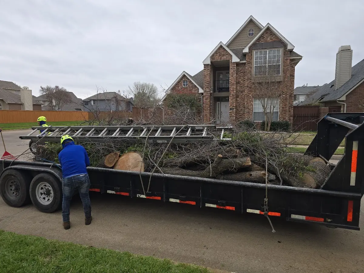 Expert Lot Clearing with proper safety equipment in Kennesaw